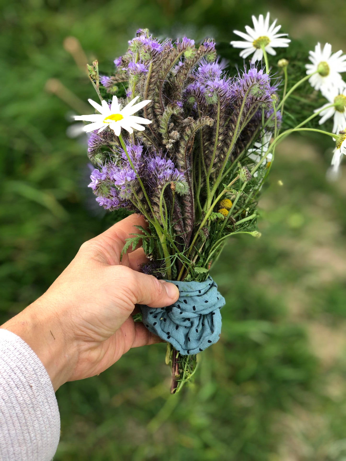 Scrunchie aus gepunktetem Bio Musselin, metallfrei